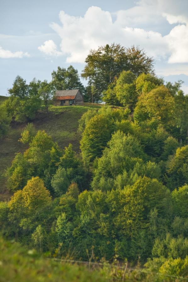 Casuta Din Valea Iepii Villa Holbav Exterior photo