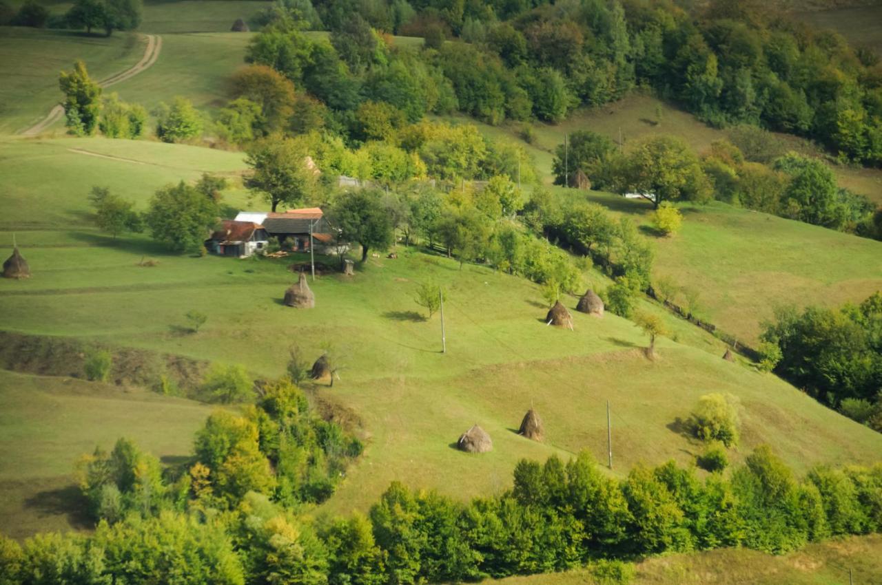 Casuta Din Valea Iepii Villa Holbav Exterior photo