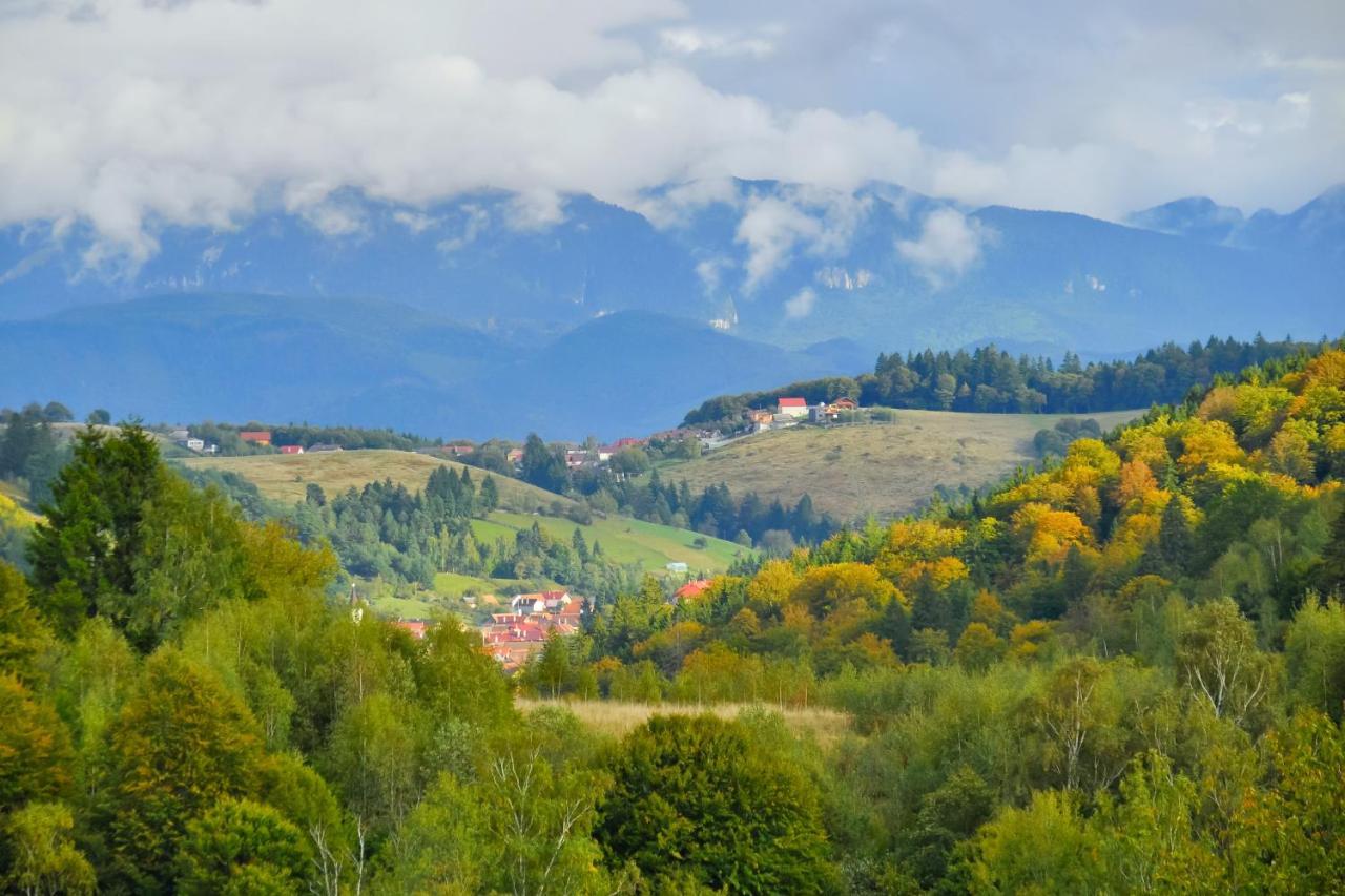 Casuta Din Valea Iepii Villa Holbav Exterior photo