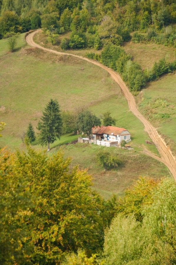 Casuta Din Valea Iepii Villa Holbav Exterior photo