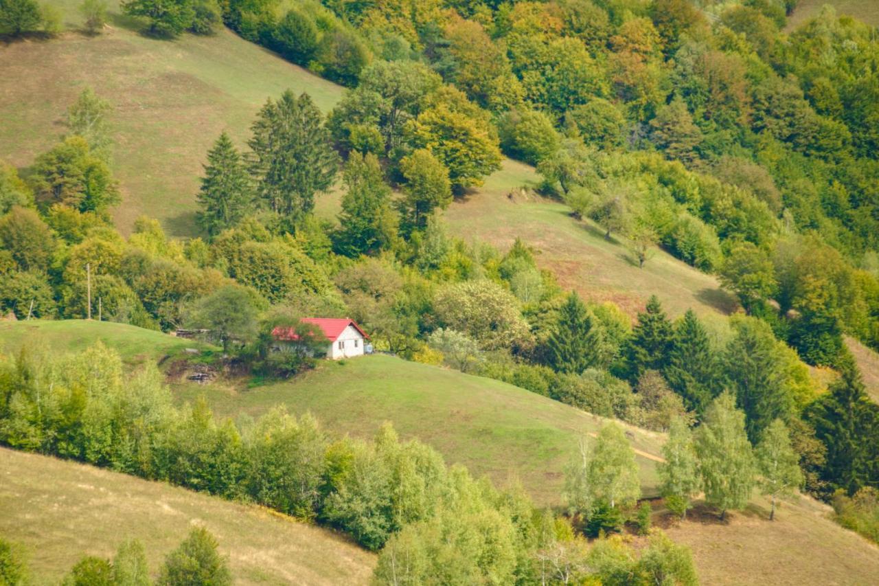 Casuta Din Valea Iepii Villa Holbav Exterior photo