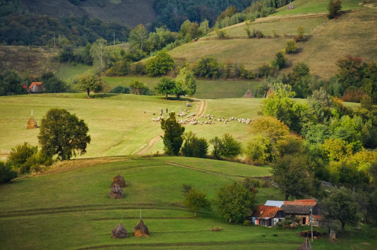 Casuta Din Valea Iepii Villa Holbav Exterior photo