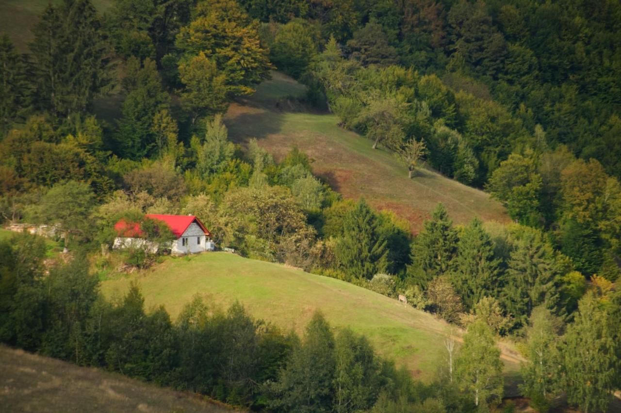 Casuta Din Valea Iepii Villa Holbav Exterior photo